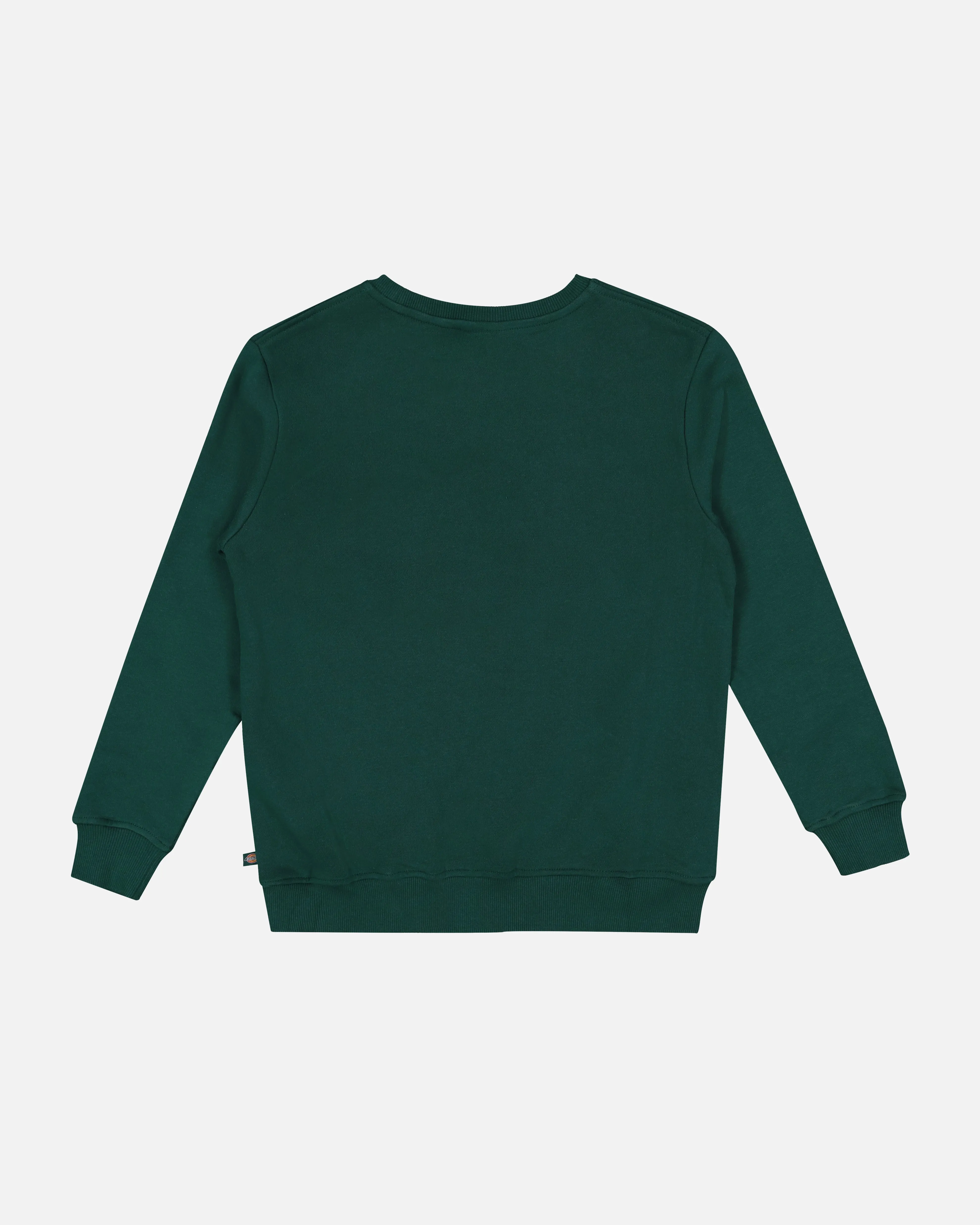 Dickies Kid's Longview Crewneck Spruce Green