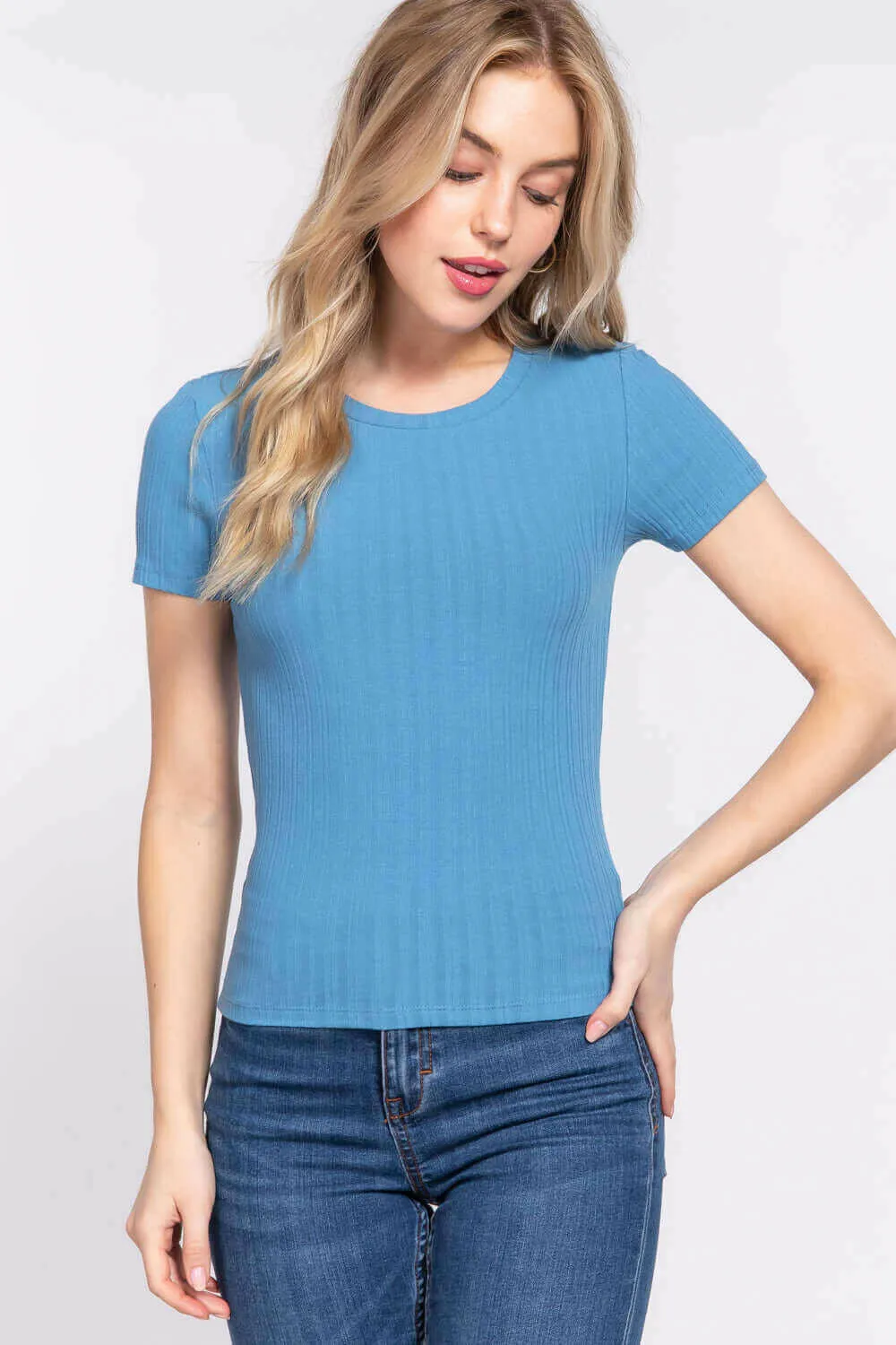 Short Slv Crew Neck Variegated Rib Knit Top